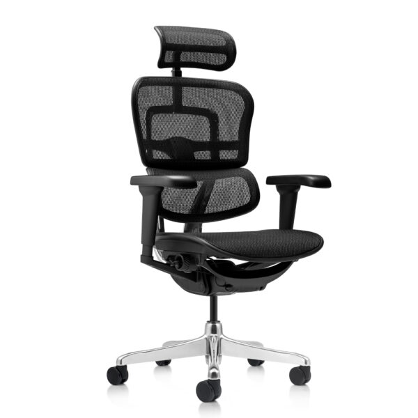 SILLÓN EJECUTIVO ERGOHUMAN ELITE